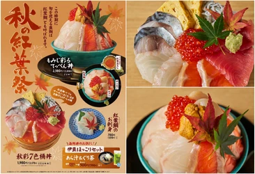 熱海の秋を一杯の丼に　 旬の紅葉鯛と秋のサーモン　 熱海の秋を彩る丼が10月6日に解禁！