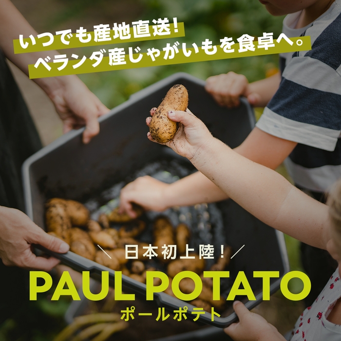 サムネイル2