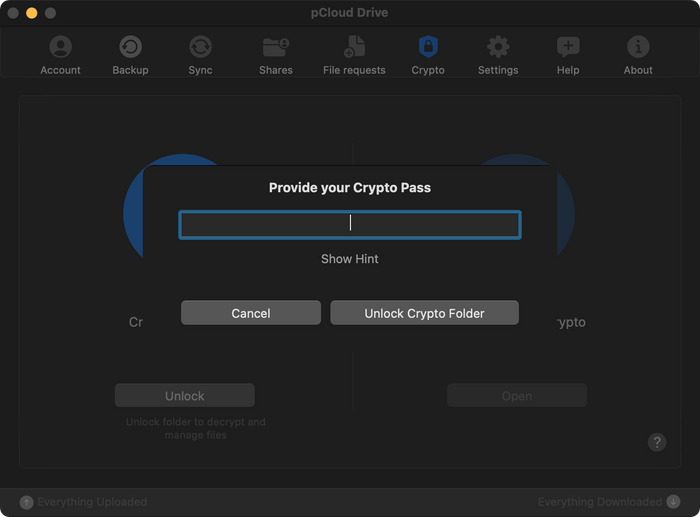 pCloud Cryptoのパスワード画面