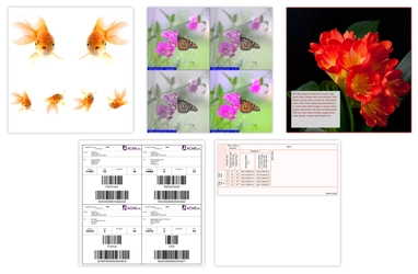 画像処理ライブラリや生成AIをカスタム関数として利用可能な 新機能を追加したドキュメントAPIライブラリの新版リリース　