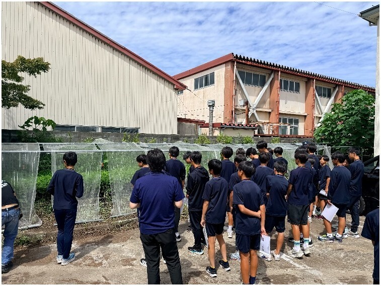 チップ加工工場を見学1
