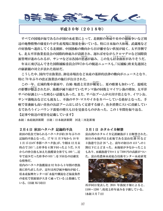 【特集】時事魚っちんぐ2019版