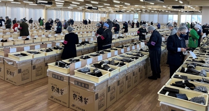 海苔入札会風景