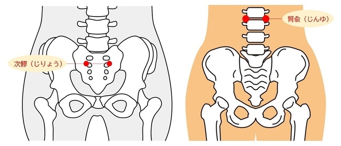 次りょう(じりょう)と腎兪(じんゆ)