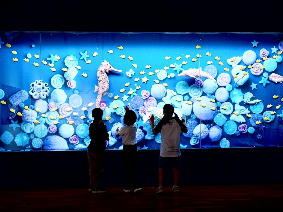 お菓子の水族館(ウッドワン美術館)