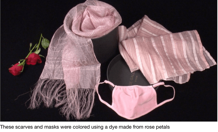 BIZ STREAMの予告画像より(花染め)