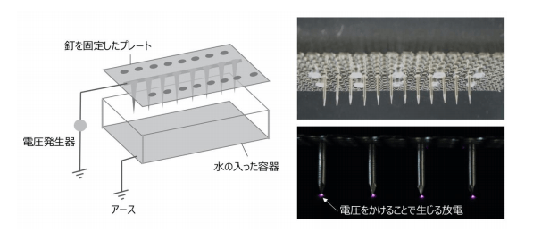 今回新たに開発した装置の構造（左）、釘を固定した部分の拡大画像（右）