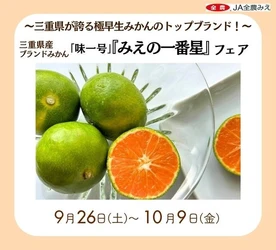 ～三重県が誇る極早生みかんのトップブランド！～
みのるダイニング名古屋店で三重県産ブランドみかん「味一号『みえの一番星』フェア」を
９月２６日（土）～１０月９日（金）まで開催