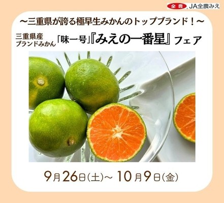 ～三重県が誇る極早生みかんのトップブランド！～
みのるダイニング名古屋店で三重県産ブランドみかん「味一号『みえの一番星』フェア」を
９月２６日（土）～１０月９日（金）まで開催