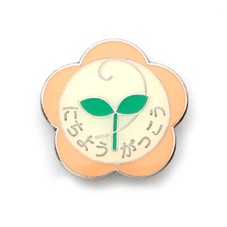 日曜学校進級記念