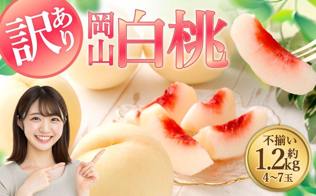 【岡山県倉敷市ふるさと納税】気品ある美しい桃「【訳あり】岡山白桃(家庭用)1.2kg以上 サイズ不揃い」を受付中です。