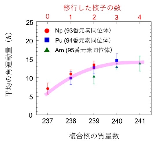 図5 18O＋237Npの多核子移行反応で生成される複合核（Np*, Pu*, Am*）の、複合核質量数に対する角運動量をプロットしたものです。図の上の目盛りは、移行する核子の数を示しています。曲線は、傾向を示すためのガイドです。
