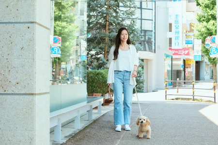 犬の糞尿被害は警察に通報できる？相談先の使い分けと証拠の集め方を弁護士が解説