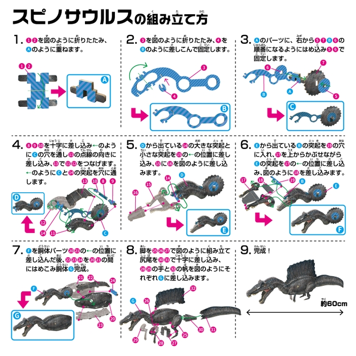 スピノサウルス_組み立て方