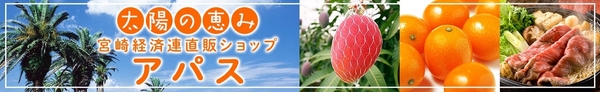 宮崎経済連直販ショップ　アパス