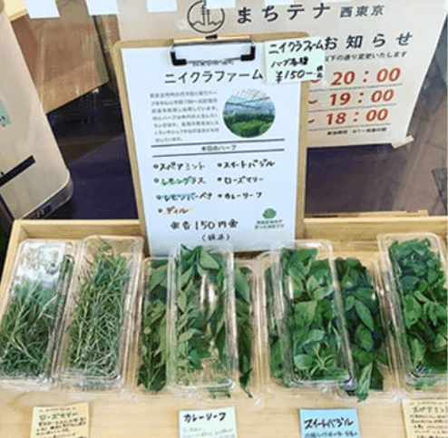 ニイクラファーム