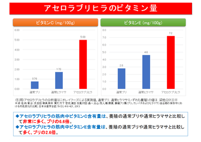 試験データ（アセロラブリヒラに含まれるビタミン類）