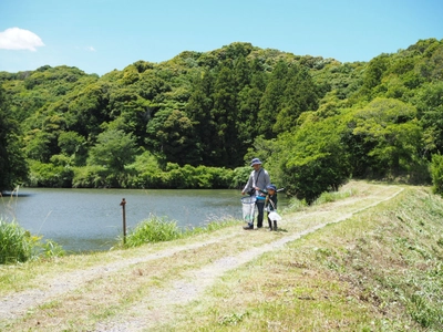 千葉県安房で“里山昆虫探し・SUP”等のローカル体験を！ ローカル体験コンテンツサービス『AWANO』の 7～8月開催イベント、モニター価格(70％オフ)で参加者募集 ～夏休み期間限定の親子で楽しめる全6プラン～