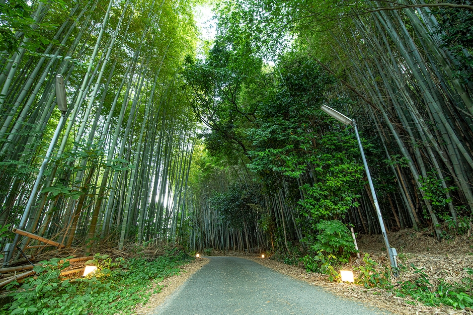 お帰り路