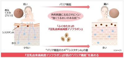 ノエビアグループ、九州産丸大豆「ふくゆたか」の 『豆乳由来高純度イソフラボン』が 肌のバリア機能を強化することを解明