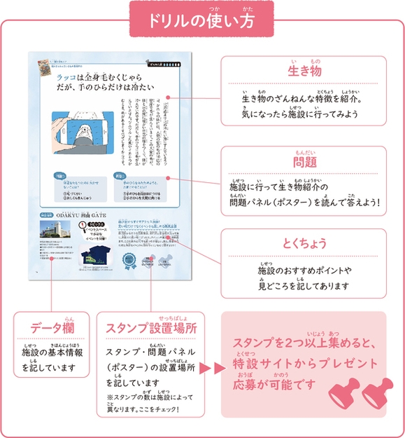 『ざんねんないきもの事典』初コラボ！ オリジナル問題で学びながらおでかけを楽しめる全28ページのドリルです