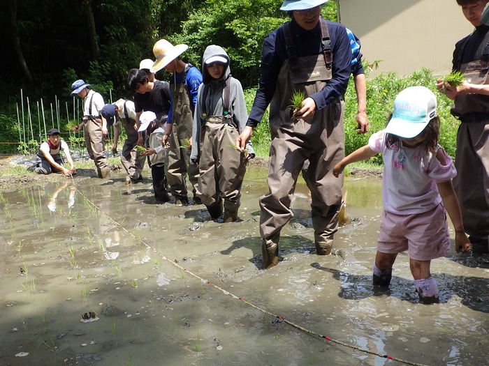 棚田の整備活動