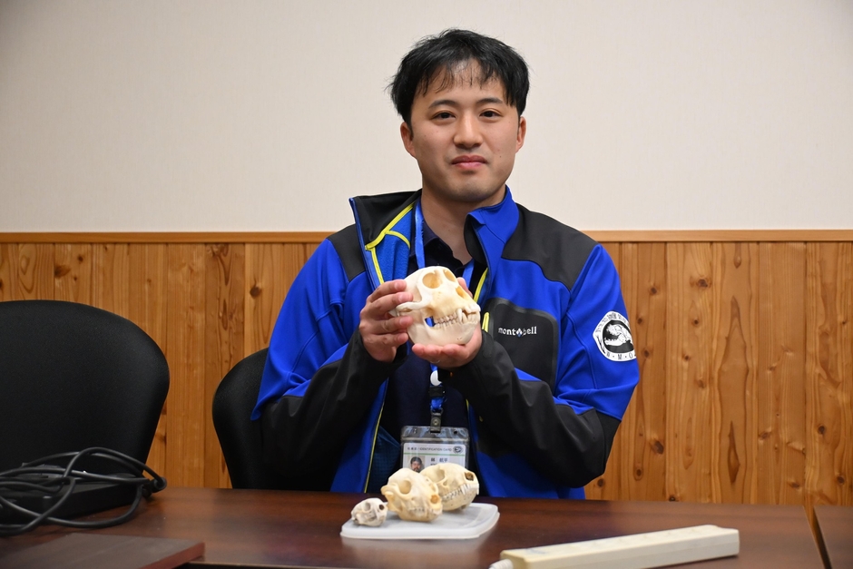 卒論で使用したシベリアイタチの頭の骨(机手前の骨格標本)は今でも大切に保管しているといいます
