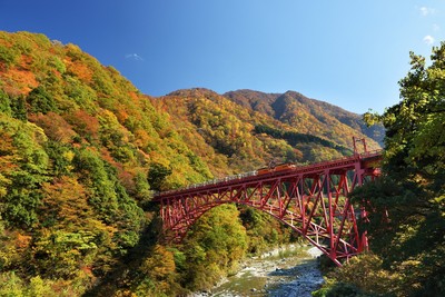 紅葉の新山彦橋