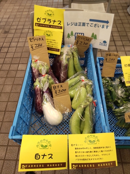 ゼブラナス、白ナス