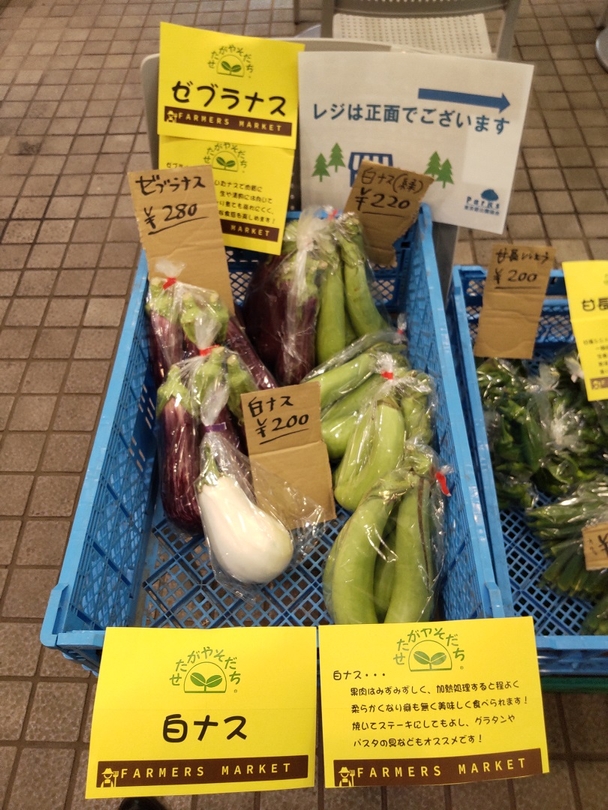 ゼブラナス、白ナス