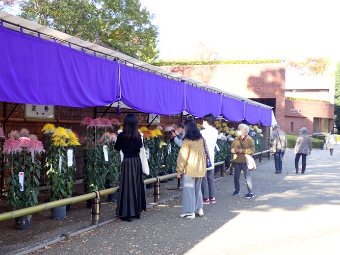 展示を楽しむ来園者（過去の様子）