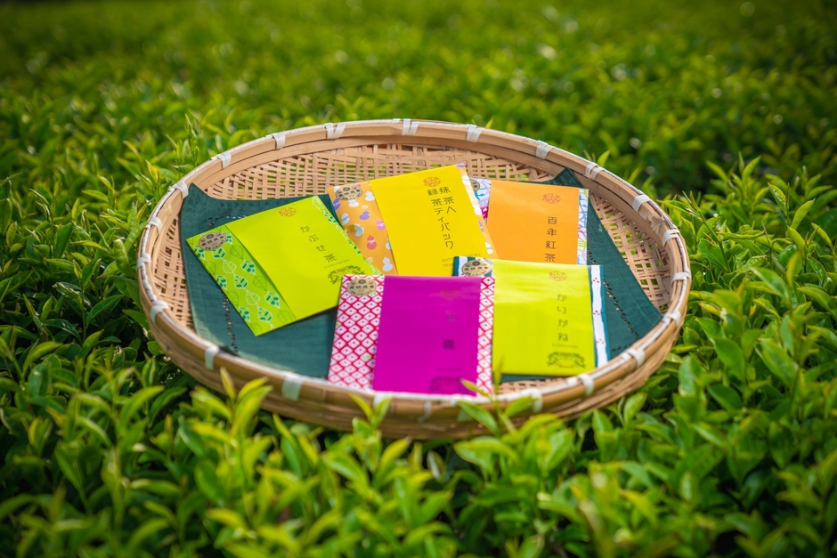 碧園 お茶の純平