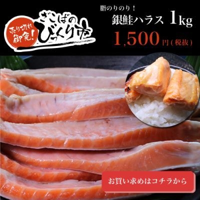 脂のりのり！銀鮭ハラス1kg