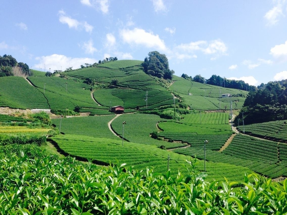 「TEA&BAR」イメージ(2)