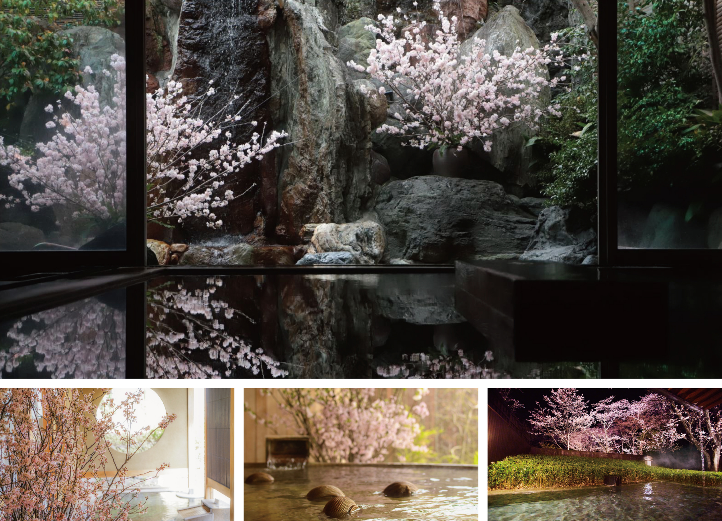 【界】見頃を逃さず春を満喫できる「界の花見温泉」開催 〜2023年は湯浴み前後を楽しむことができるアイテムも登場〜 施設:界 21 施設|期間:2023年3月26日〜4月8日
