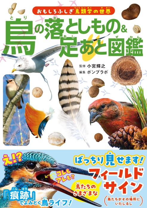 『鳥の落としもの & 足あと図鑑』書影