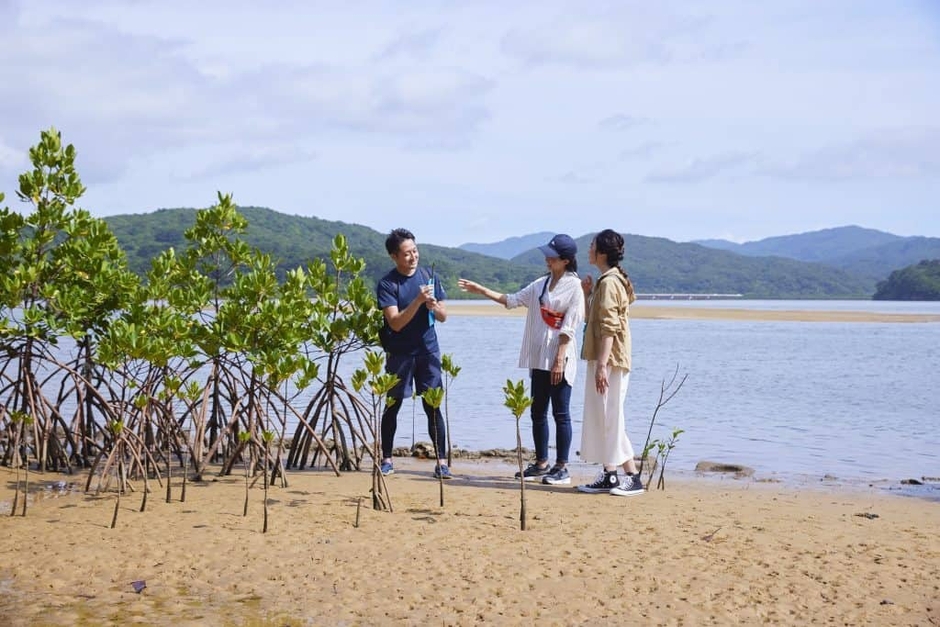 イリオモテガイドウォーク(マングローブコース)