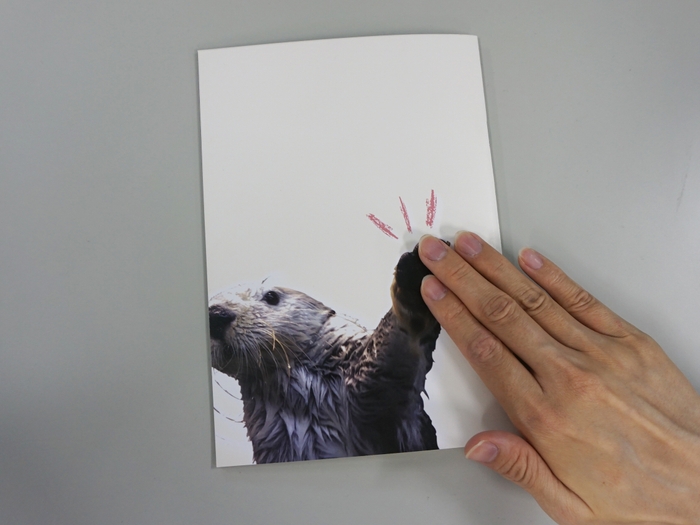 裏表紙では、パタとハイタッチができる!