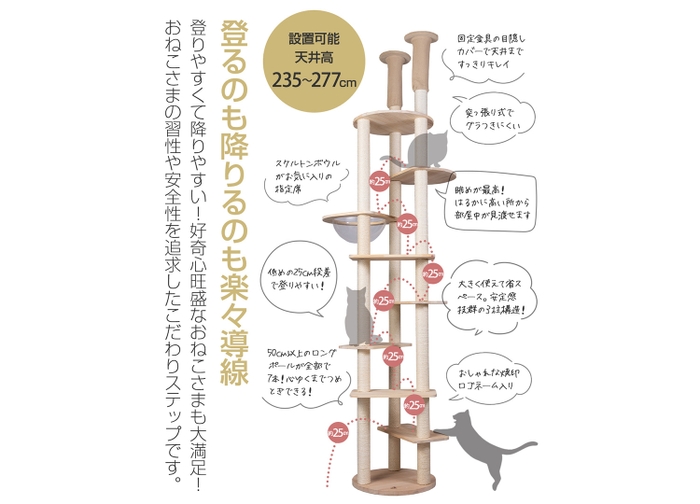 一見するとシンプルですが、見た目以上のこだわりが詰まっています