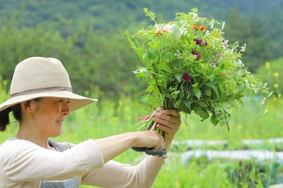 CAN I EAT FLOWER?