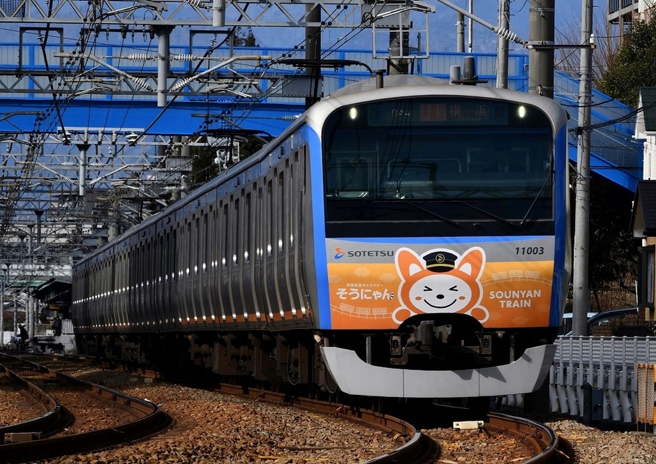 五代目 そうにゃんへの「愛着向上」をテーマに、かわいい、癒されるなどのほっこりした気持ちになるよう、車内の窓や広告枠の上などにラッピング