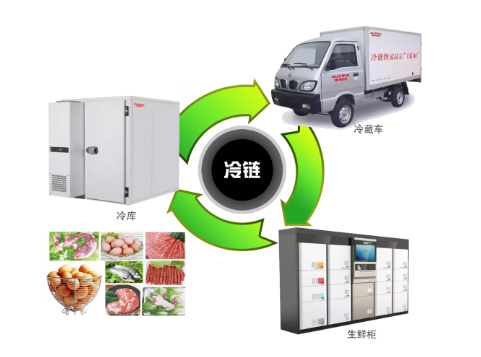 世界・日本コールドチェーン機器市場:主要メーカー、競争環境、製品トレンド2026-2032