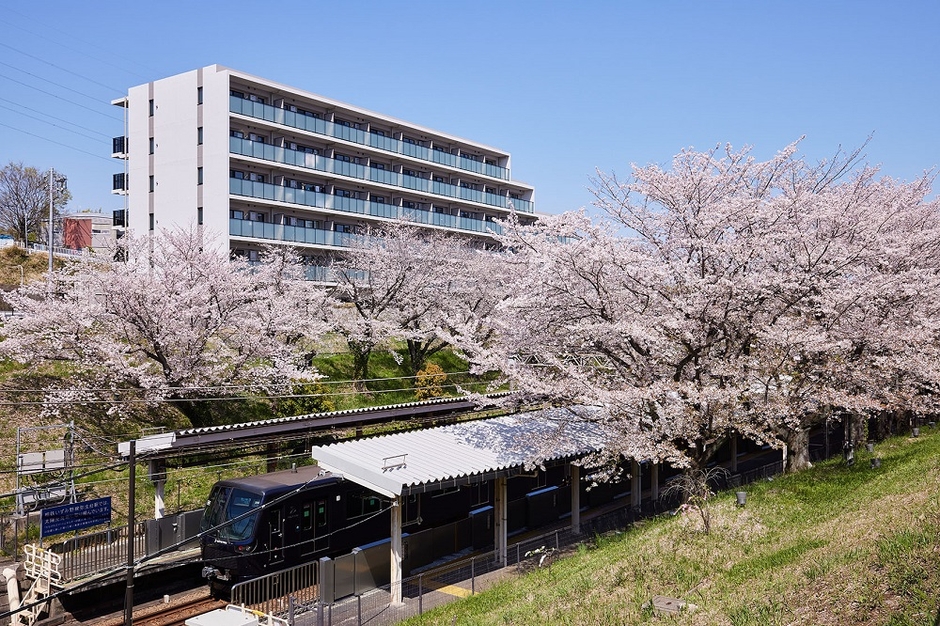 ノックス弥生台 桜テラス(2024年4月10日撮影)