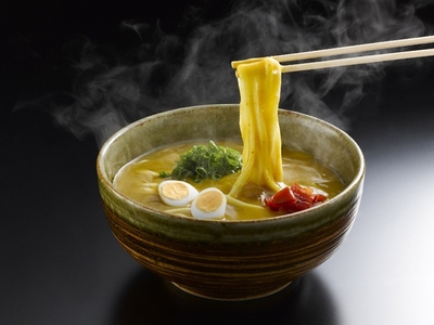 とよはし食文化(豊橋カレーうどん)