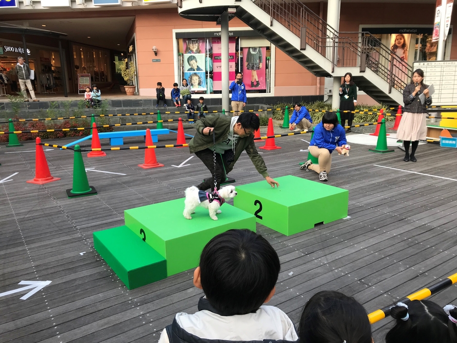 わんわん競技大会２０１９