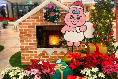 『ホワイティうめだで過ごすクリスマス』花装飾【場所:泉の広場】