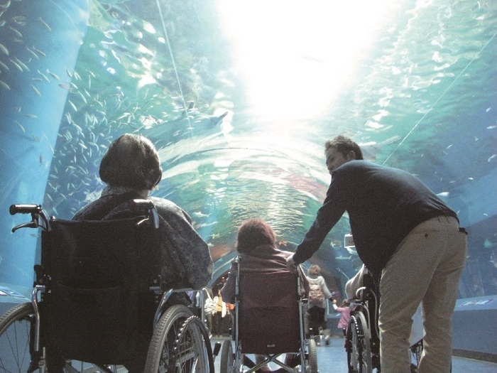 個別ケア 夢を叶えるプロジェクト