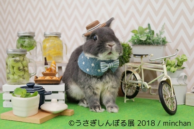 展示作品7