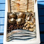 今日のおまかせ 満足セット 1万円 イメージ2