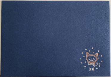 相鉄・鉄道全線1日乗車券を入れる封筒(イメージ)